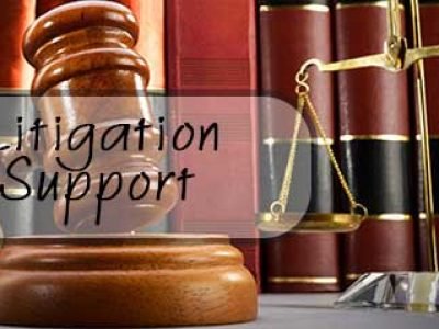 litigation-support